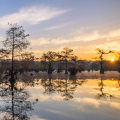 Navigating the Rules and Regulations of Recreational Rentals in Northeastern North Carolina