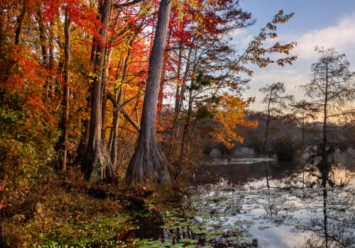 Navigating the Rules and Regulations of Recreational Rentals in Northeastern North Carolina